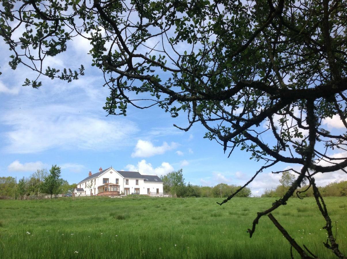 Apartamento Penddaulwyn Uchaf Farm # Carmarthenshire Nantgaredig Exterior foto