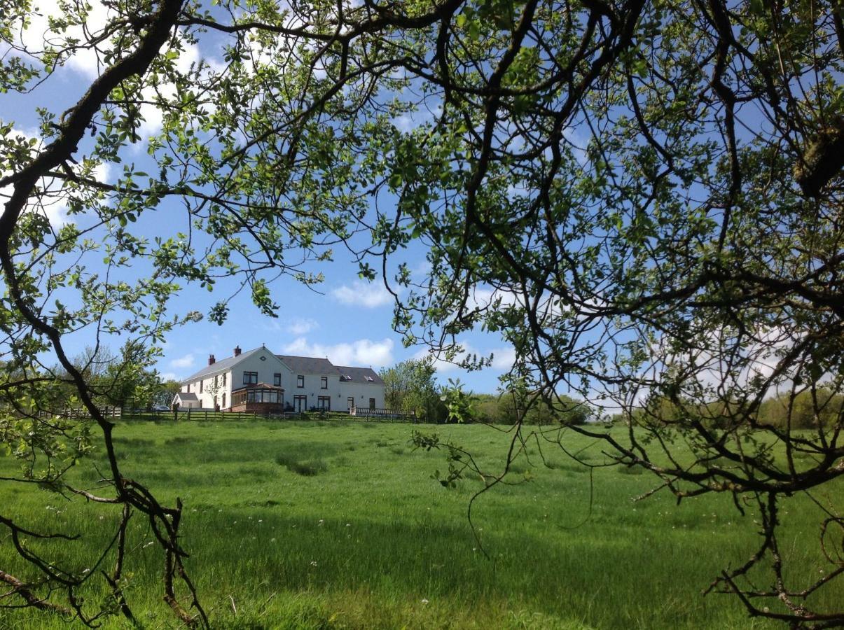 Apartamento Penddaulwyn Uchaf Farm # Carmarthenshire Nantgaredig Exterior foto