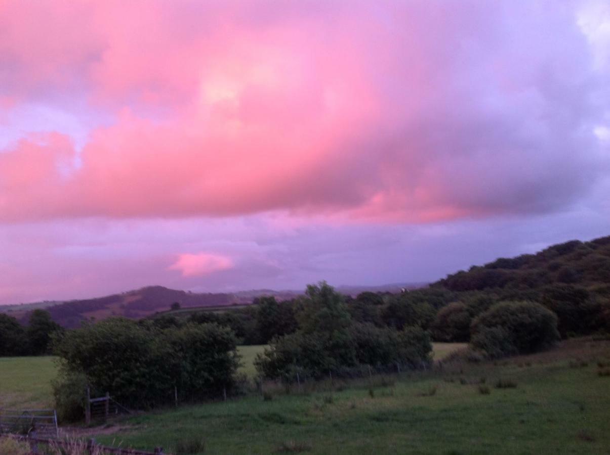 Apartamento Penddaulwyn Uchaf Farm # Carmarthenshire Nantgaredig Exterior foto
