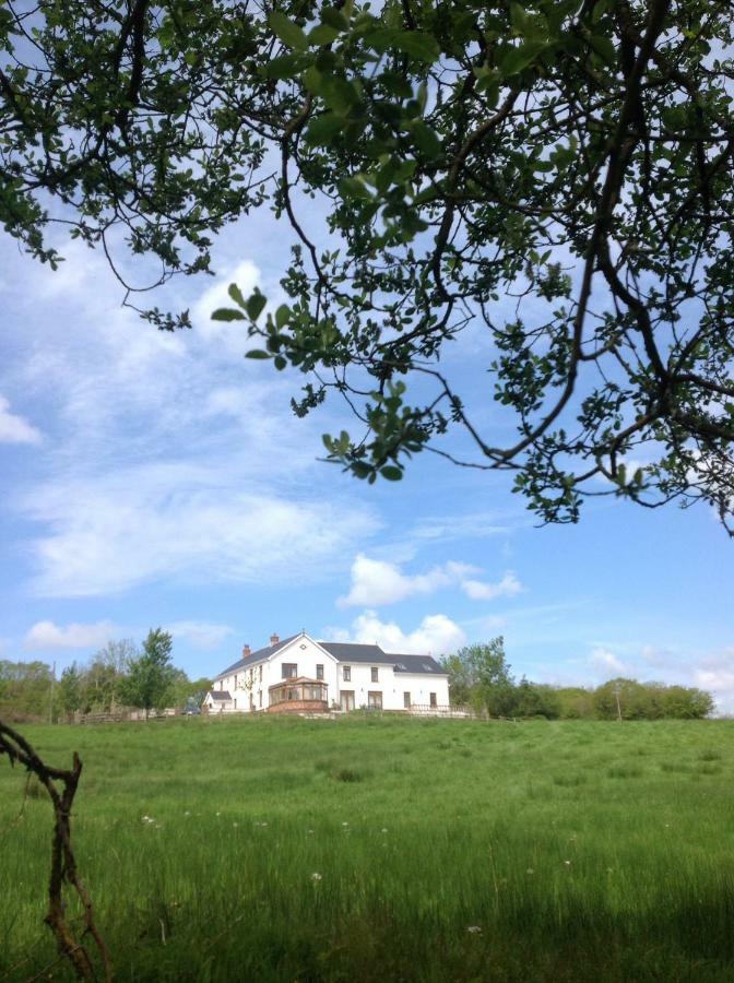 Apartamento Penddaulwyn Uchaf Farm # Carmarthenshire Nantgaredig Exterior foto